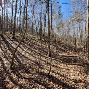 Photo #24 of SOLD property in Off Price Hairston Lane, Martinsville, VA 19.4 acres