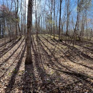 Photo #25 of SOLD property in Off Price Hairston Lane, Martinsville, VA 19.4 acres