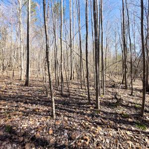 Photo #26 of SOLD property in Off Price Hairston Lane, Martinsville, VA 19.4 acres