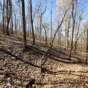 Photo #27 of SOLD property in Off Price Hairston Lane, Martinsville, VA 19.4 acres