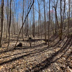 Photo #28 of SOLD property in Off Price Hairston Lane, Martinsville, VA 19.4 acres