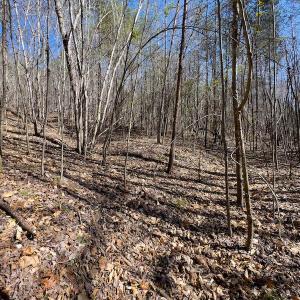 Photo #30 of SOLD property in Off Price Hairston Lane, Martinsville, VA 19.4 acres