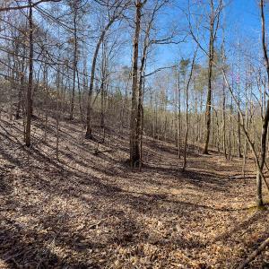 Photo #31 of SOLD property in Off Price Hairston Lane, Martinsville, VA 19.4 acres