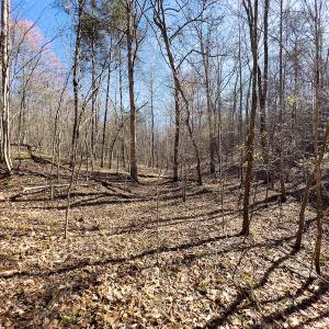 Photo #32 of SOLD property in Off Price Hairston Lane, Martinsville, VA 19.4 acres