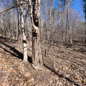 Photo #33 of SOLD property in Off Price Hairston Lane, Martinsville, VA 19.4 acres