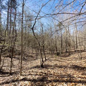 Photo #35 of SOLD property in Off Price Hairston Lane, Martinsville, VA 19.4 acres