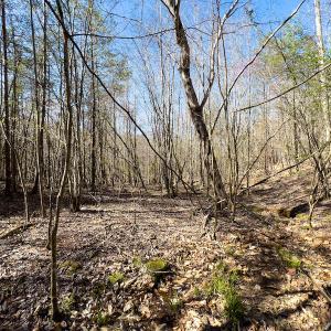 Photo #36 of SOLD property in Off Price Hairston Lane, Martinsville, VA 19.4 acres