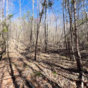Photo #37 of SOLD property in Off Price Hairston Lane, Martinsville, VA 19.4 acres