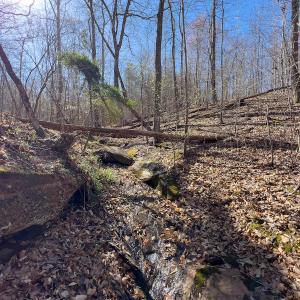 Photo #38 of SOLD property in Off Price Hairston Lane, Martinsville, VA 19.4 acres
