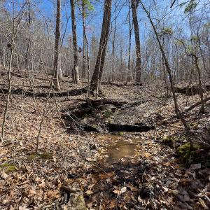 Photo #40 of SOLD property in Off Price Hairston Lane, Martinsville, VA 19.4 acres