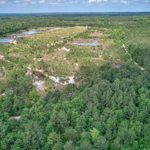 Photo #11 of 1554 Josey Williams Road , Erwin, NC 57.4 acres