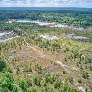 Photo #12 of 1554 Josey Williams Road , Erwin, NC 57.4 acres