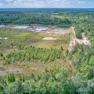 Photo #13 of 1554 Josey Williams Road , Erwin, NC 57.4 acres