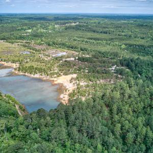 Photo #14 of 1554 Josey Williams Road , Erwin, NC 57.4 acres