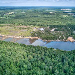 Photo #15 of 1554 Josey Williams Road , Erwin, NC 57.4 acres