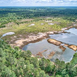 Photo #17 of 1554 Josey Williams Road , Erwin, NC 57.4 acres