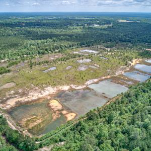 Photo #18 of 1554 Josey Williams Road , Erwin, NC 57.4 acres