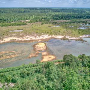 Photo #19 of 1554 Josey Williams Road , Erwin, NC 57.4 acres