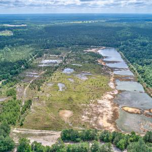 Photo #20 of 1554 Josey Williams Road , Erwin, NC 57.4 acres