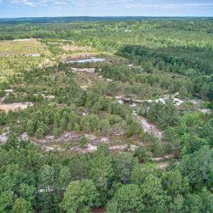 Photo #21 of 1554 Josey Williams Road , Erwin, NC 57.4 acres