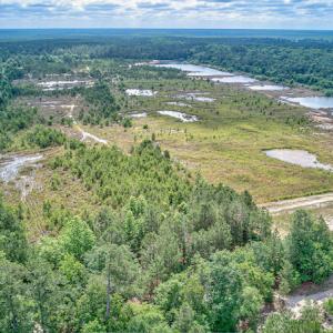 Photo #24 of 1554 Josey Williams Road , Erwin, NC 57.4 acres