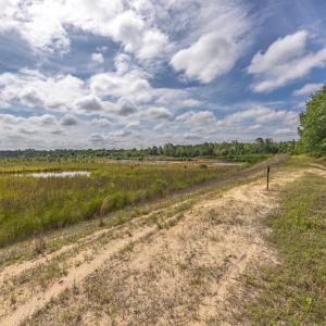 Photo #25 of 1554 Josey Williams Road , Erwin, NC 57.4 acres
