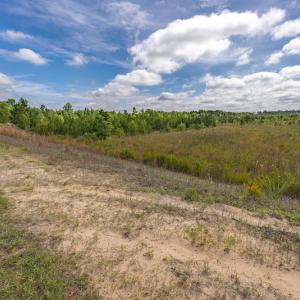 Photo #26 of 1554 Josey Williams Road , Erwin, NC 57.4 acres