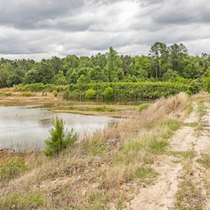 Photo #27 of 1554 Josey Williams Road , Erwin, NC 57.4 acres