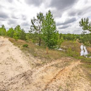 Photo #29 of 1554 Josey Williams Road , Erwin, NC 57.4 acres