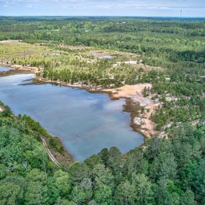 Photo #3 of 1554 Josey Williams Road , Erwin, NC 57.4 acres