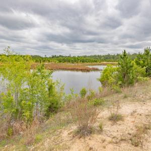 Photo #32 of 1554 Josey Williams Road , Erwin, NC 57.4 acres