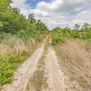Photo #33 of 1554 Josey Williams Road , Erwin, NC 57.4 acres