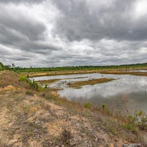 Photo #35 of 1554 Josey Williams Road , Erwin, NC 57.4 acres