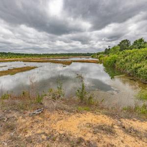 Photo #36 of 1554 Josey Williams Road , Erwin, NC 57.4 acres