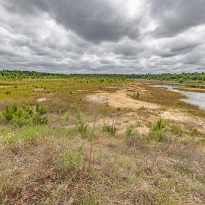 Photo #37 of 1554 Josey Williams Road , Erwin, NC 57.4 acres