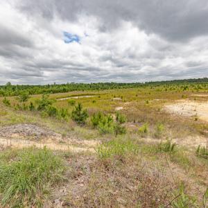 Photo #38 of 1554 Josey Williams Road , Erwin, NC 57.4 acres