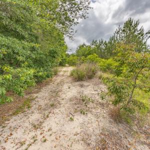 Photo #39 of 1554 Josey Williams Road , Erwin, NC 57.4 acres
