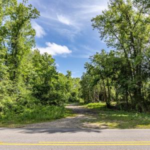 Photo #40 of 1554 Josey Williams Road , Erwin, NC 57.4 acres