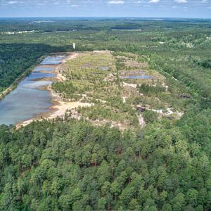 Photo #5 of 1554 Josey Williams Road , Erwin, NC 57.4 acres
