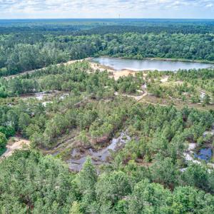 Photo #6 of 1554 Josey Williams Road , Erwin, NC 57.4 acres