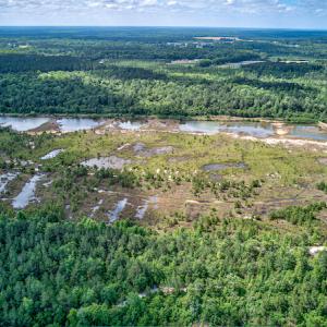 Photo #7 of 1554 Josey Williams Road , Erwin, NC 57.4 acres