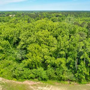 Photo #11 of SOLD property in Off Highway 130 , Fairmont, NC 5.3 acres