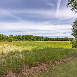 Photo #13 of SOLD property in Off Highway 130 , Fairmont, NC 5.3 acres