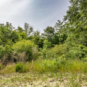 Photo #14 of SOLD property in Off Highway 130 , Fairmont, NC 5.3 acres