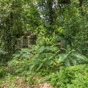 Photo #16 of SOLD property in Off Highway 130 , Fairmont, NC 5.3 acres