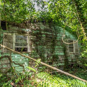 Photo #17 of SOLD property in Off Highway 130 , Fairmont, NC 5.3 acres