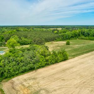 Photo #7 of SOLD property in Off Highway 130 , Fairmont, NC 5.3 acres