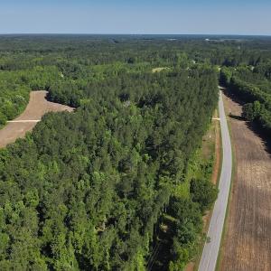 Photo #27 of SOLD property in 6267 River Road, White Oak, NC 120.2 acres