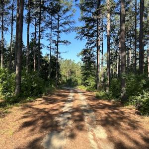 Photo #32 of SOLD property in 6267 River Road, White Oak, NC 120.2 acres