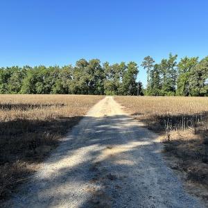 Photo #33 of SOLD property in 6267 River Road, White Oak, NC 120.2 acres